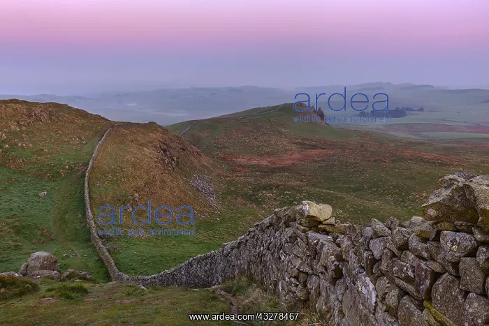  : Hadrians Wall - iconic historic stone wall Hadrians