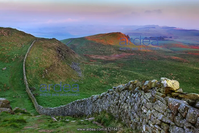  : Hadrians Wall - iconic historic stone wall Hadrians