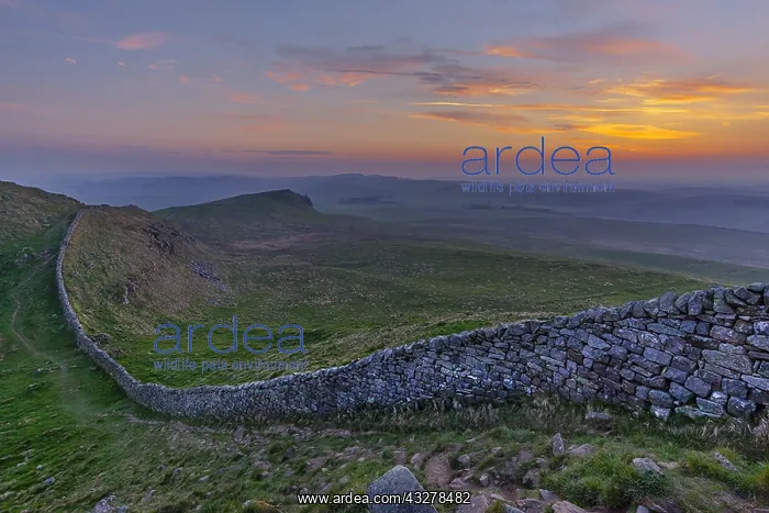  : Hadrians Wall - iconic historic stone wall Hadrians