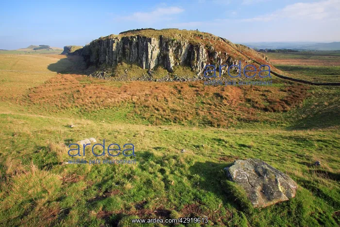 : Hadrian's Wall - view from Steel Rig looking east : Hadrian's Wall - view from Steel Rig looking east