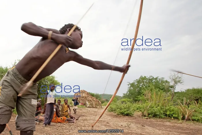 : Hadzabe Tribal Boys - with bow and arrow - less : Hadzabe Tribal Boys - with bow and arrow - less