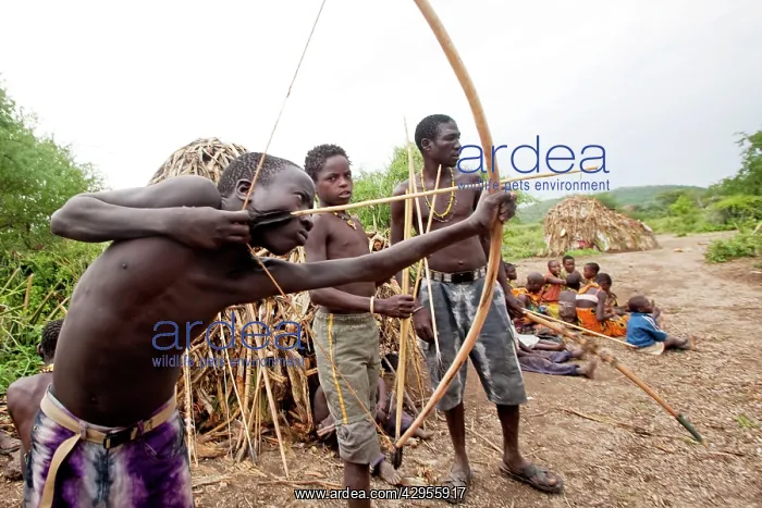: Hadzabe Tribal Boys - with bow and arrow - less : Hadzabe Tribal Boys - with bow and arrow - less