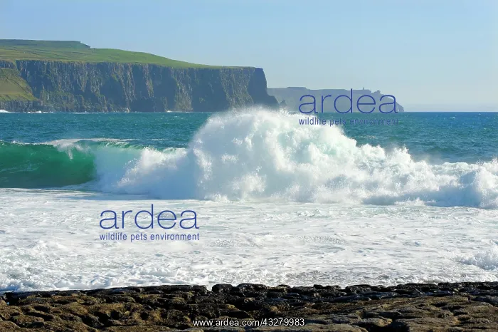 : Hag's Head, Doolin, County Clare, Ireland, Europe : Hag's Head, Doolin, County Clare, Ireland, Europe