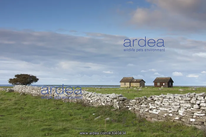  : Hahns Fishing Huts autumn