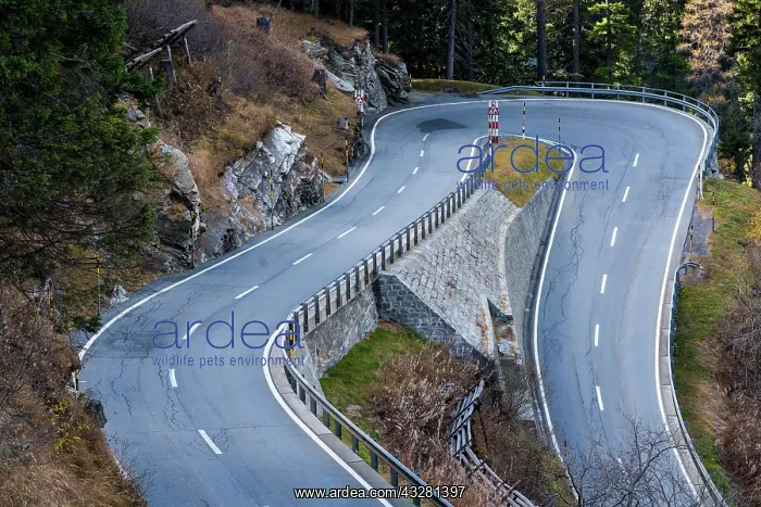 : Hairpin bend, Pass road, Maloja pass, Canton Grisons : Hairpin bend, Pass road, Maloja pass, Canton Grisons