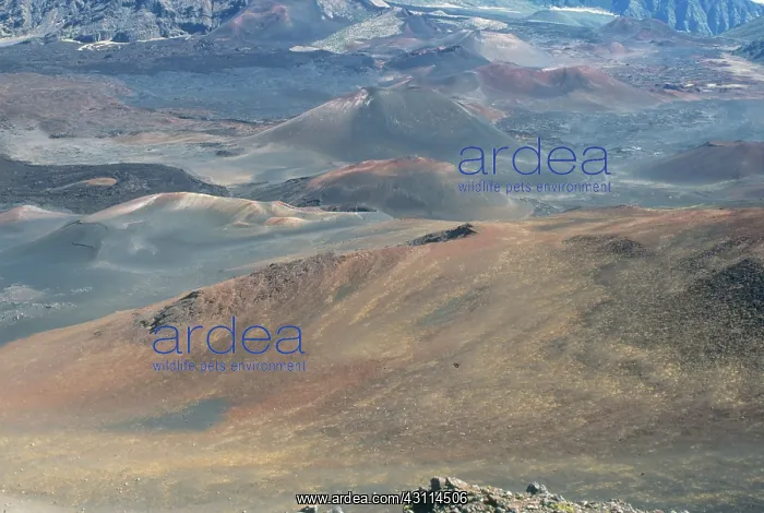 : Haleakala, Hawaii : Haleakala, Hawaii