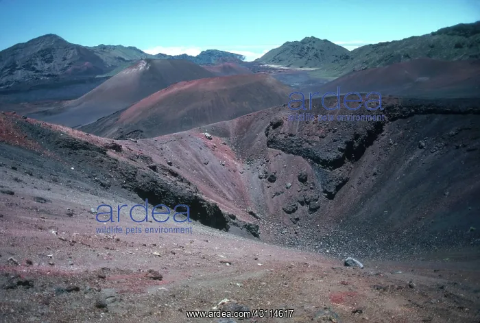 : Haleakala, Hawaii : Haleakala, Hawaii