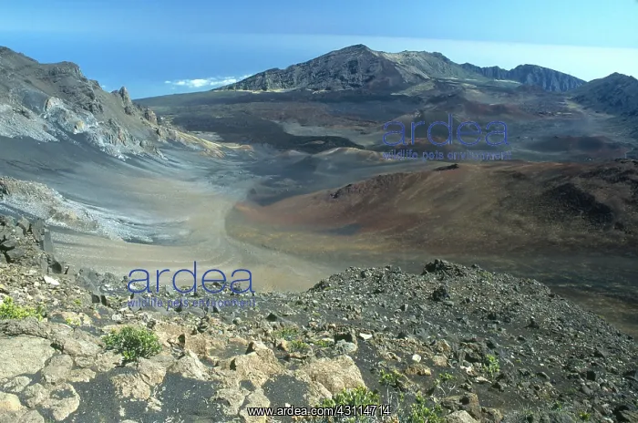 : Haleakala, Hawaii : Haleakala, Hawaii