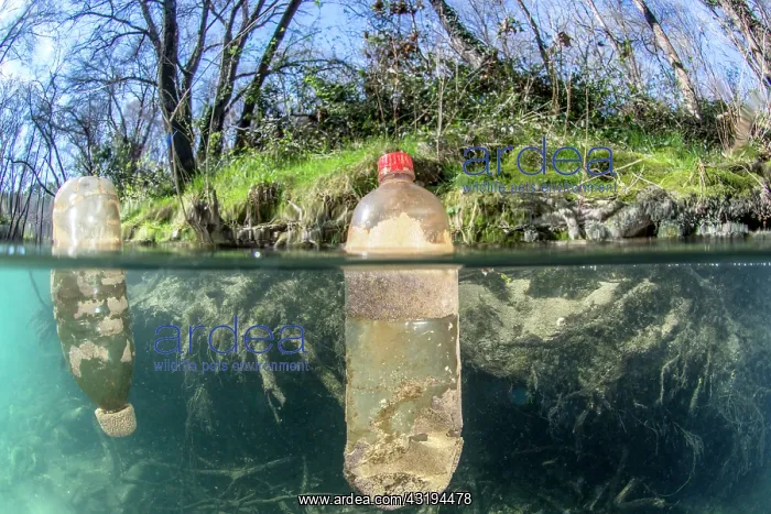 : Half-air, half-water view of plastic bottles floating : Half-air, half-water view of plastic bottles floating