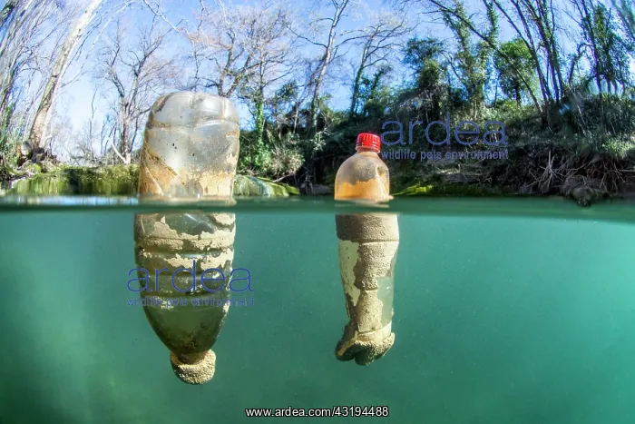 : Half-air, half-water view of plastic bottles floating : Half-air, half-water view of plastic bottles floating