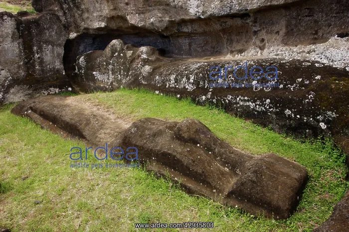  : Half-completed Moai in the quarry of Rano Raraku