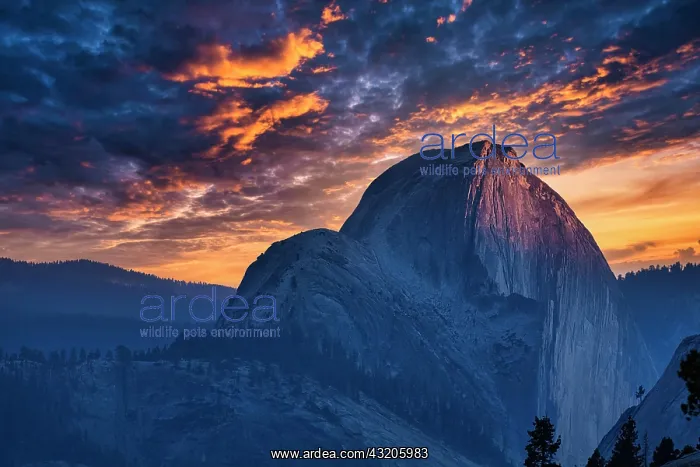 : Half Dome, granite mountain, round shapes, sunse : Half Dome, granite mountain, round shapes, sunse