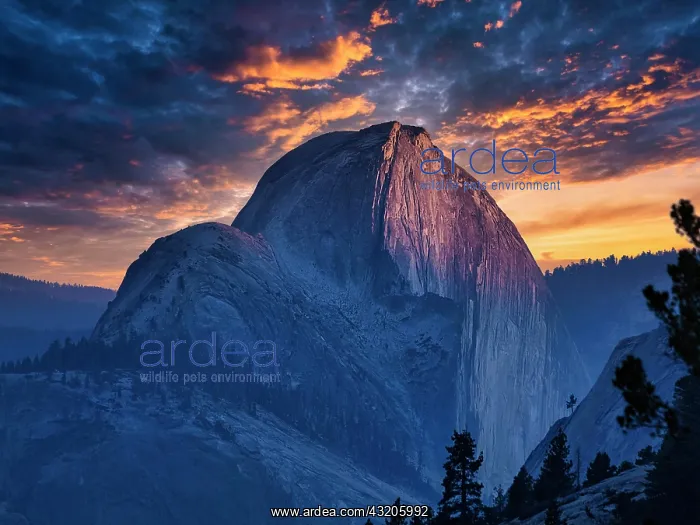 : Half Dome, granite mountain, round shapes, sunse : Half Dome, granite mountain, round shapes, sunse