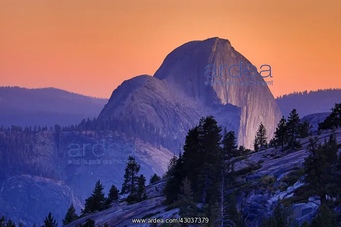  : Half Dome mountain at sunset in Yosemite Valley