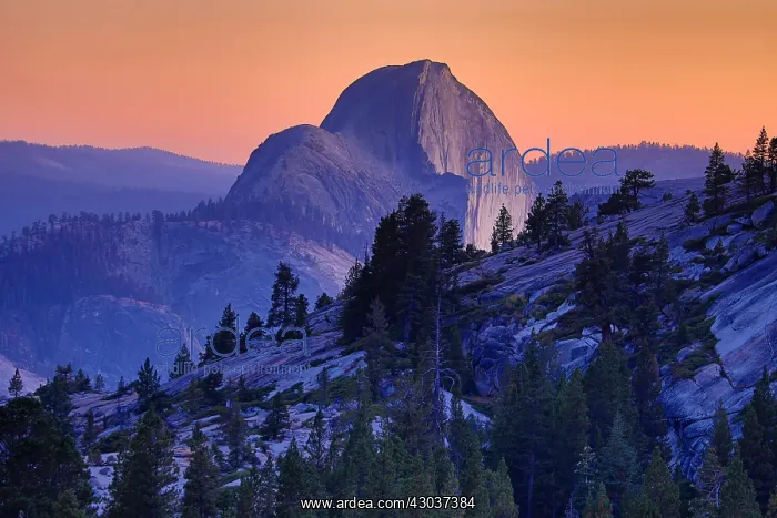  : Half Dome mountain at sunset in Yosemite Valley