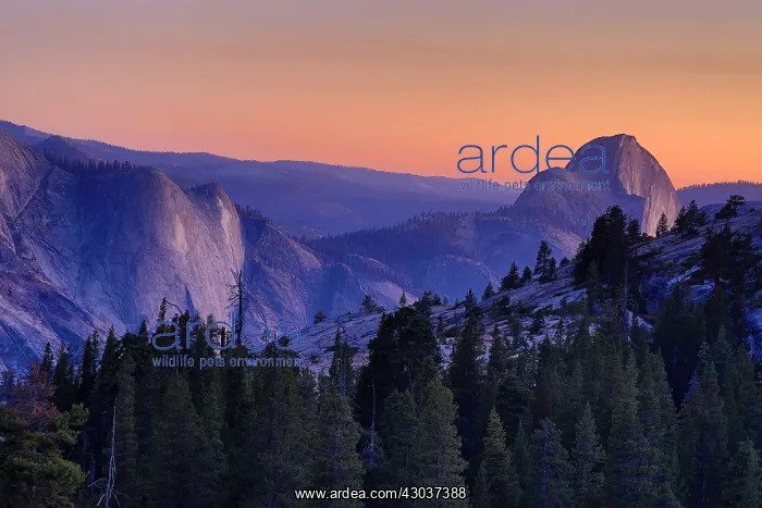  : Half Dome mountain at sunset in Yosemite Valley