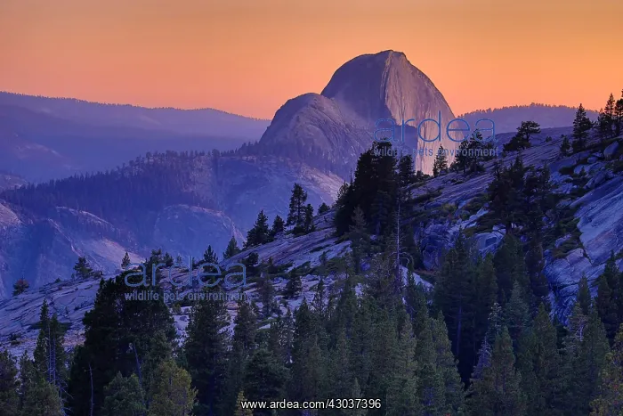  : Half Dome mountain at sunset in Yosemite Valley