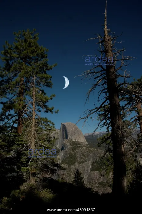 : Half Dome, Yosemite NP : Half Dome, Yosemite NP