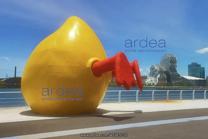 : Half Duck statue in Kaohsiung Harbour and Music Center, Kaoh : Half Duck statue in Kaohsiung Harbour and Music Center, Kaoh