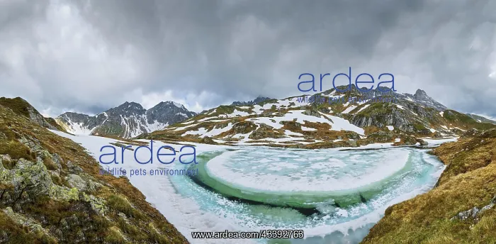 : Half-frozen mountain lake, snow, Esser See, Mose : Half-frozen mountain lake, snow, Esser See, Mose