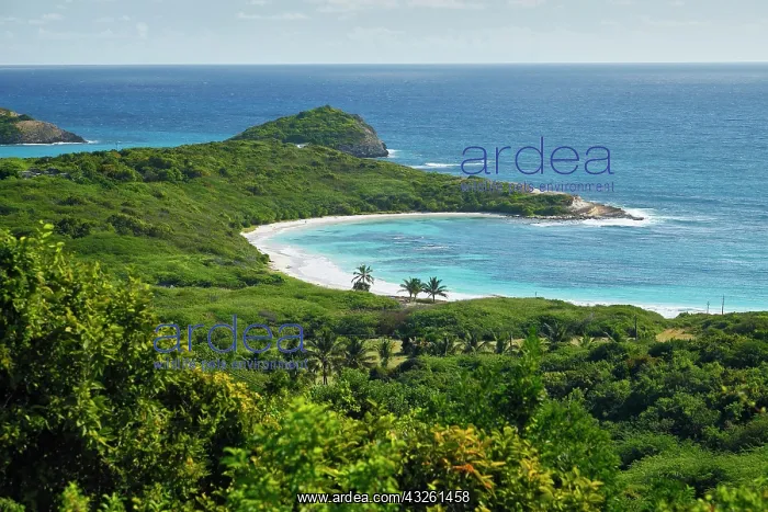 : Half Moon Bay, Antigua, Caribbean : Half Moon Bay, Antigua, Caribbean