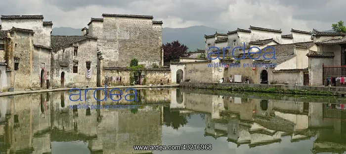 : Half Moon Pond, Hong Cun Village, Yi County : Half Moon Pond, Hong Cun Village, Yi County