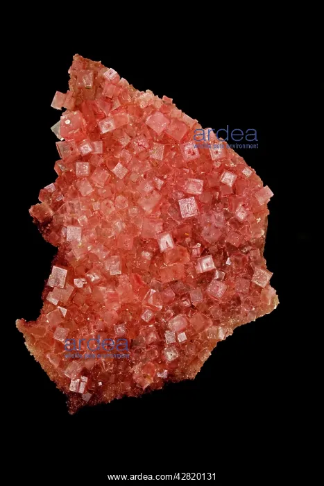 : Halite - NaCl - Sodium chloride - Salt - Searles lake : Halite - NaCl - Sodium chloride - Salt - Searles lake