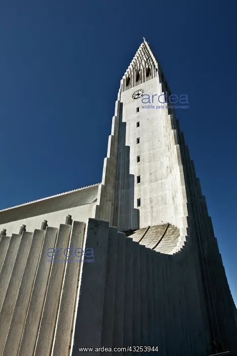 : Hallgrimskirkja, main Lutheran Church, Reykjavik : Hallgrimskirkja, main Lutheran Church, Reykjavik