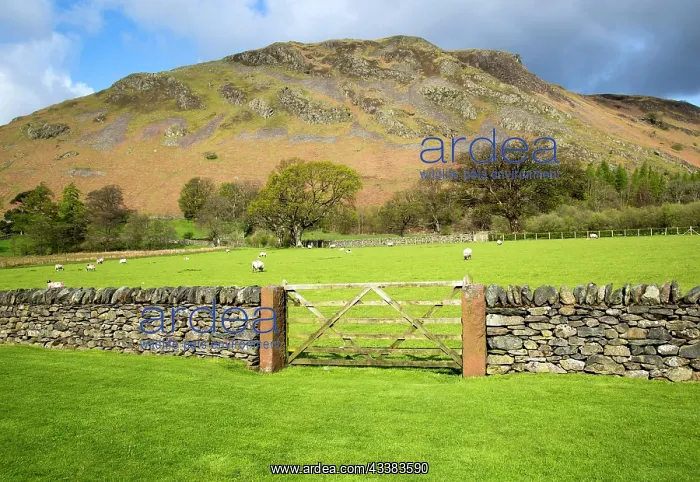: Hallin Fell, Howtown, Ullswater, Lake District national : Hallin Fell, Howtown, Ullswater, Lake District national