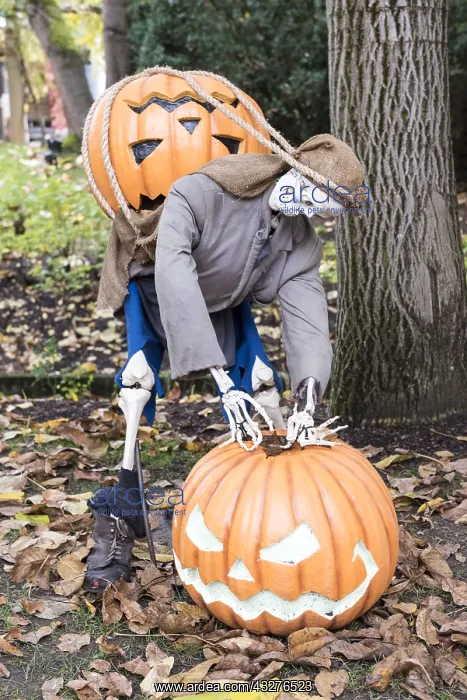  : Halloween display using pumpkins and skeleton in