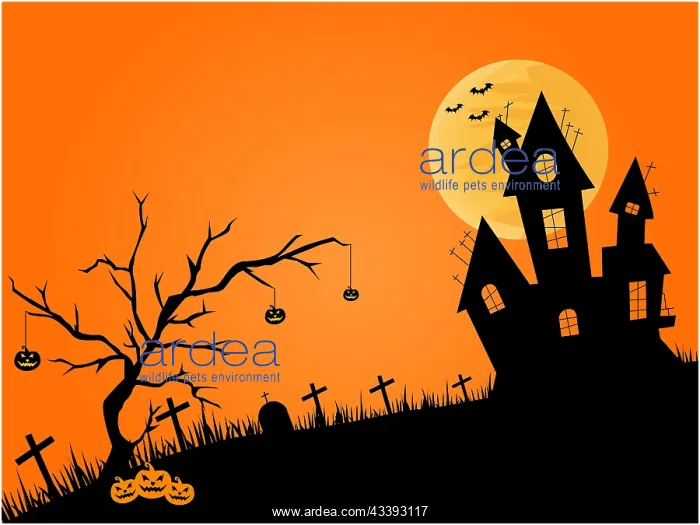 : Halloween theme with haunted house silhouette, full : Halloween theme with haunted house silhouette, full