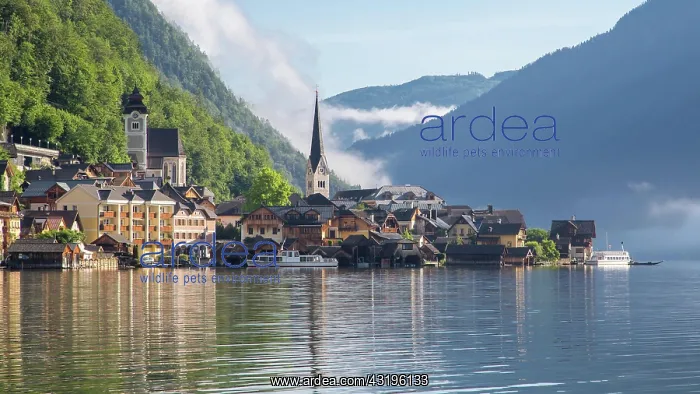 : Hallstatt am Hallstctter See, Upper Austria, Austria : Hallstatt am Hallstctter See, Upper Austria, Austria
