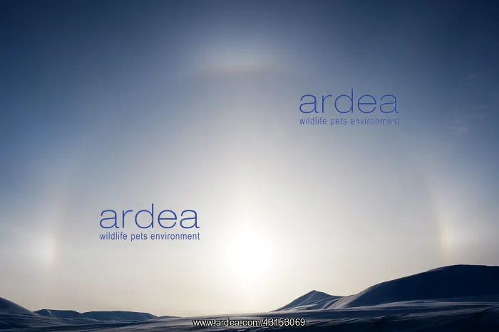 : Halo over Spitsbergen landscape : Halo over Spitsbergen landscape