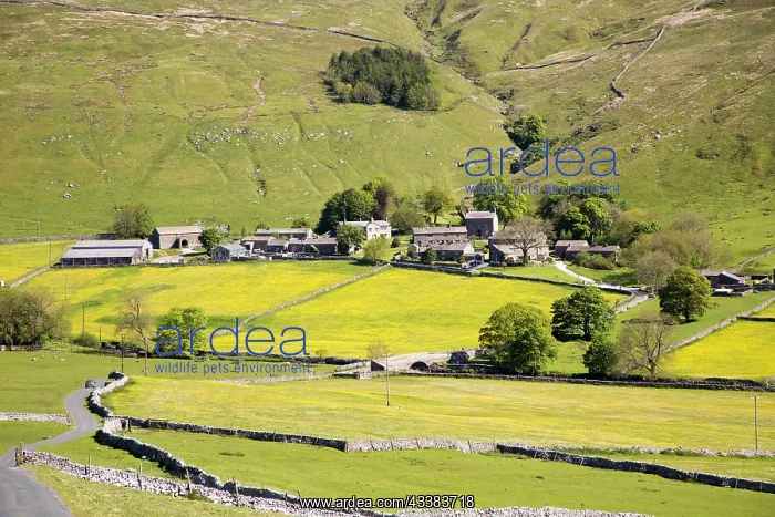 : Halton Gill, Yorkshire Dales national park, England : Halton Gill, Yorkshire Dales national park, England