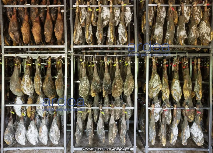 : Ham of Black Iberian Pig in a curing factory in the town : Ham of Black Iberian Pig in a curing factory in the town