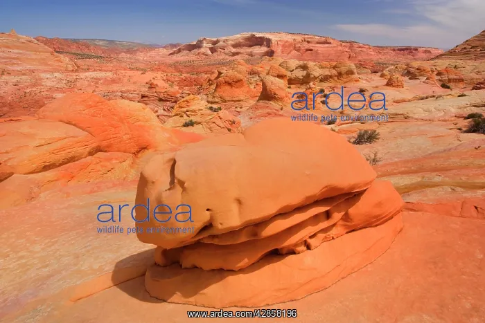 : Hamburger Rock - a multi-coloured carved rock : Hamburger Rock - a multi-coloured carved rock