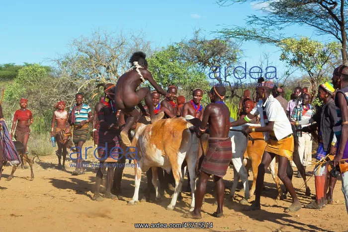 : Hamer people at a ceremony - Omo valley Ethiopia : Hamer people at a ceremony - Omo valley Ethiopia