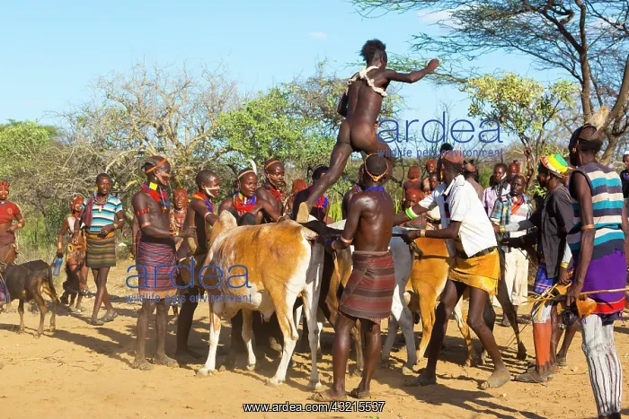 : Hamer people at a ceremony - Omo valley Ethiopia : Hamer people at a ceremony - Omo valley Ethiopia