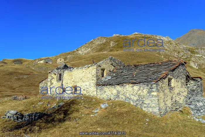 : The hamlet of Chaviere in Haute Maurienne, Termignon : The hamlet of Chaviere in Haute Maurienne, Termignon