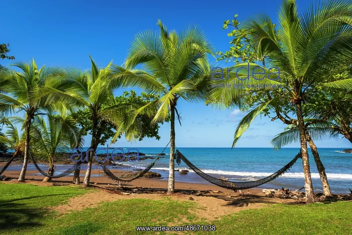 : Hammocks on the beach at San Petrillo, Corcovado National : Hammocks on the beach at San Petrillo, Corcovado National