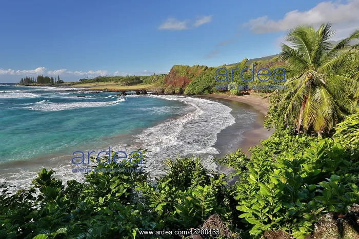 : Hamoa Beach, Road past Hana, Maui, Hawai'i, USA : Hamoa Beach, Road past Hana, Maui, Hawai'i, USA