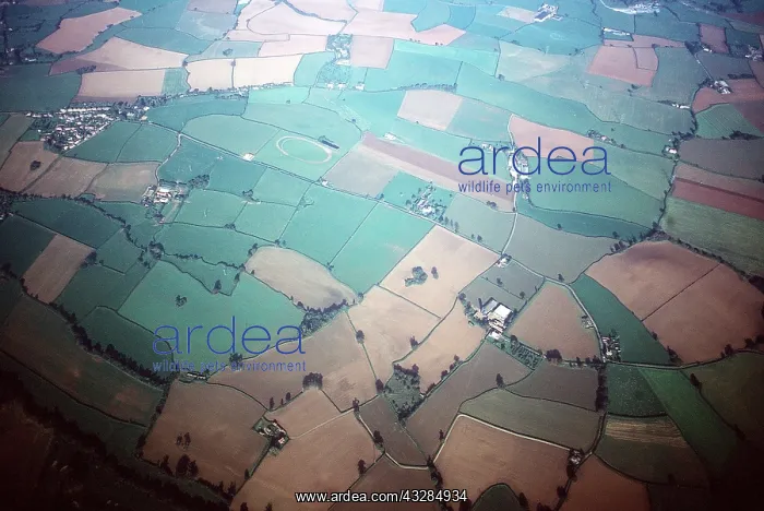 : HAMPSHIRE - Aerial view of field patterns : HAMPSHIRE - Aerial view of field patterns