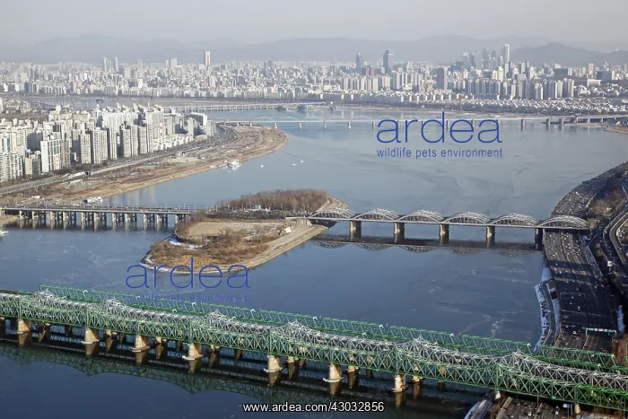 : The Han River and bridges with the city skyline : The Han River and bridges with the city skyline