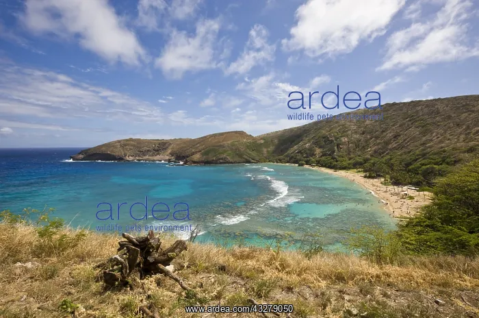 : Hanauma Bucht, Oahu, Pazifik, Hawaii, USA | Hanauma : Hanauma Bucht, Oahu, Pazifik, Hawaii, USA | Hanauma
