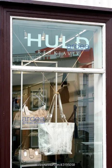 : Hand bag in fish skin from the icelandic brand Huld : Hand bag in fish skin from the icelandic brand Huld