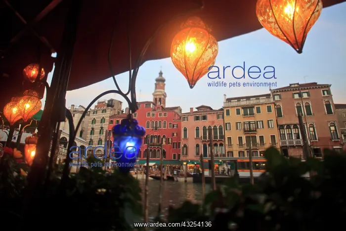 : Hand blown glass lanterns at restaurant : Hand blown glass lanterns at restaurant