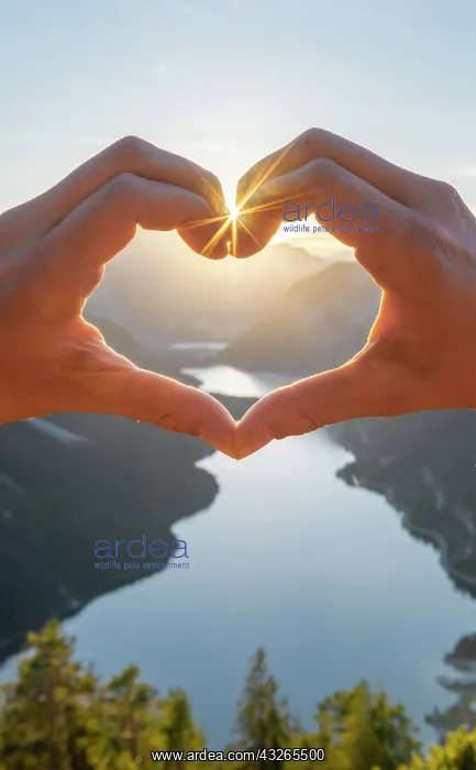 : Hand forms a heart in front of alps and mountain : Hand forms a heart in front of alps and mountain