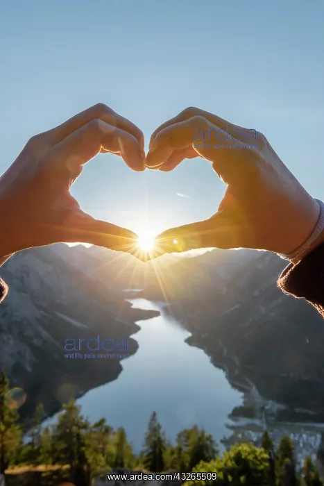 : Hand forms a heart in front of alps and mountain : Hand forms a heart in front of alps and mountain