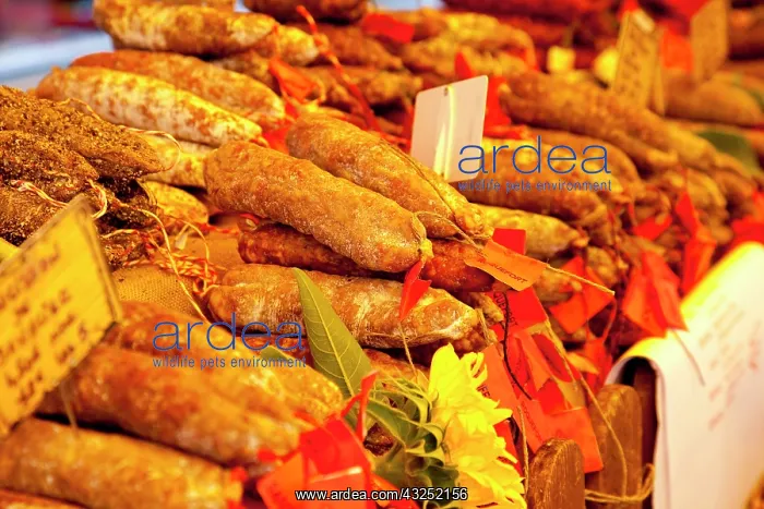 : Hand-packed meats for sale at the market : Hand-packed meats for sale at the market