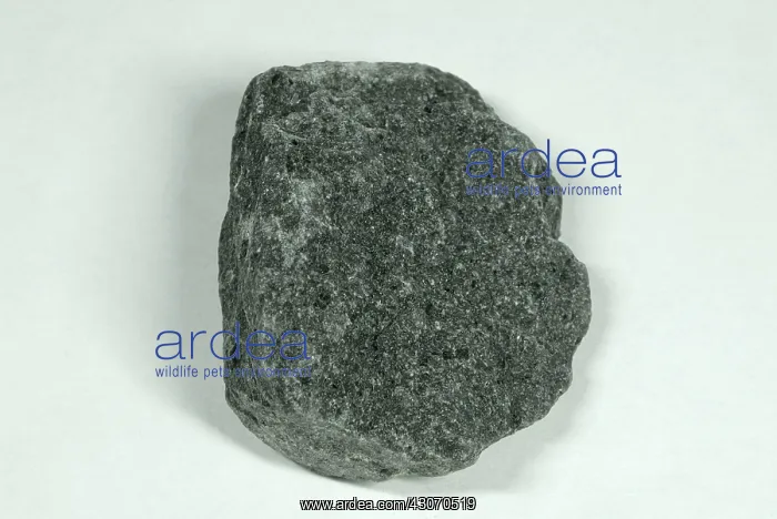 : Hand sample of Basalt : Hand sample of Basalt